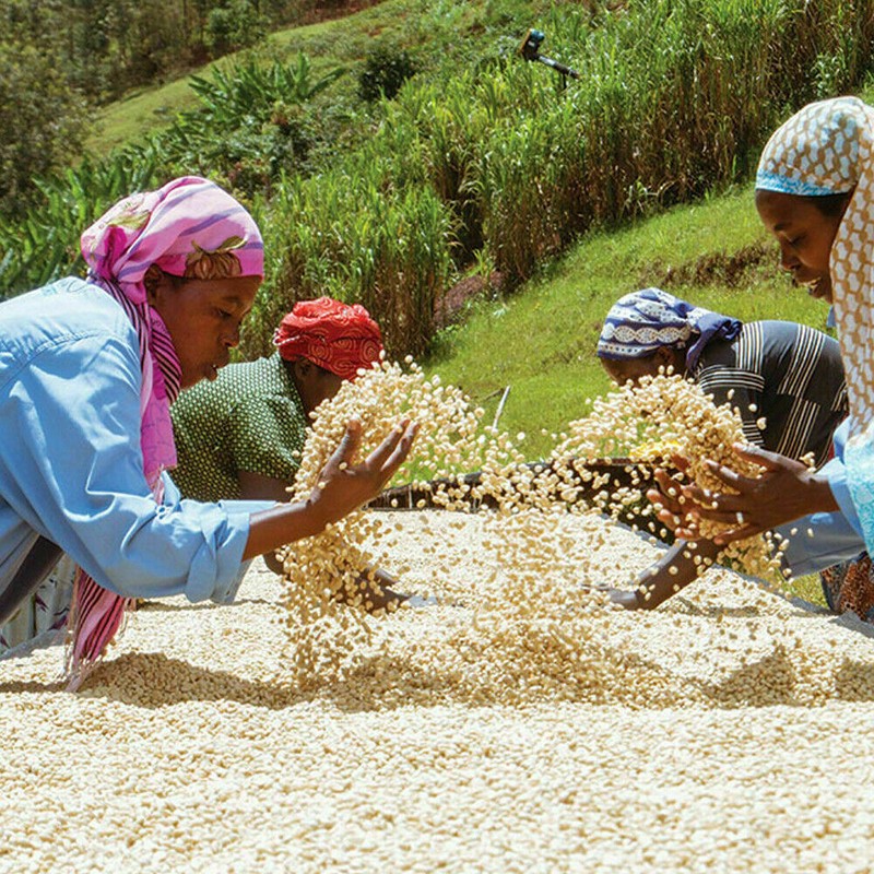 RWANDA COFFEE BEANS MEDIUM ROASTED 2 POUNDS gallery