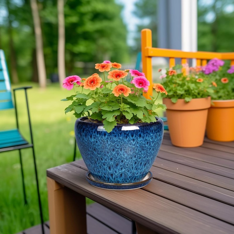 Ceramic Modern Glaze Succulent Planter Pot with Drainage Hole and Saucer 6 Inch gallery