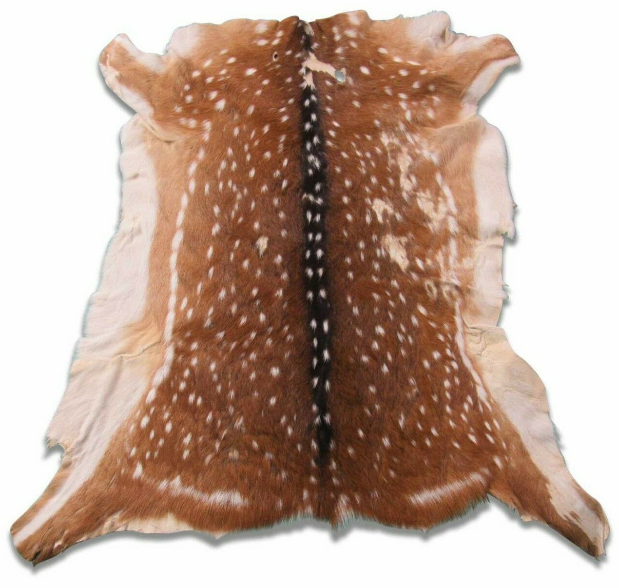 Axis Deer Skin Second Grade -Axis Deer Hide Size: 38"X30" Cheetal deer buck hide gallery