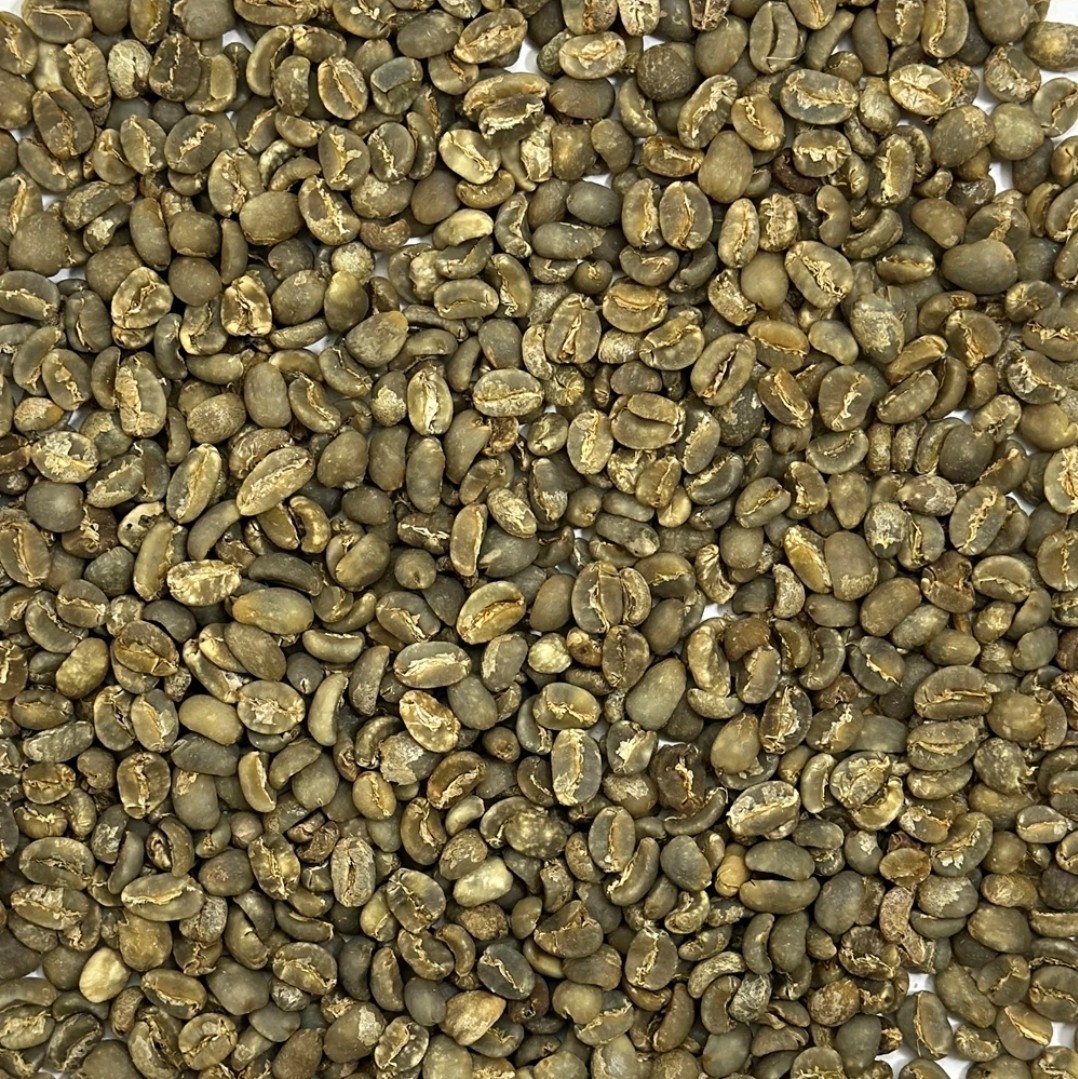 Green Coffee Beans / Sumatra Mandheling/ 10 Pound / UNROASTED gallery