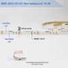 Super Bright CCT Tunable White Lights 16.4ft DC 12V 600LEDs 2800K-6500K Bi-Co... gallery