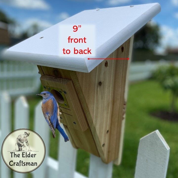 Peterson Bluebird House | Cedar | Insulated | Front Opening | Predator Guard | gallery