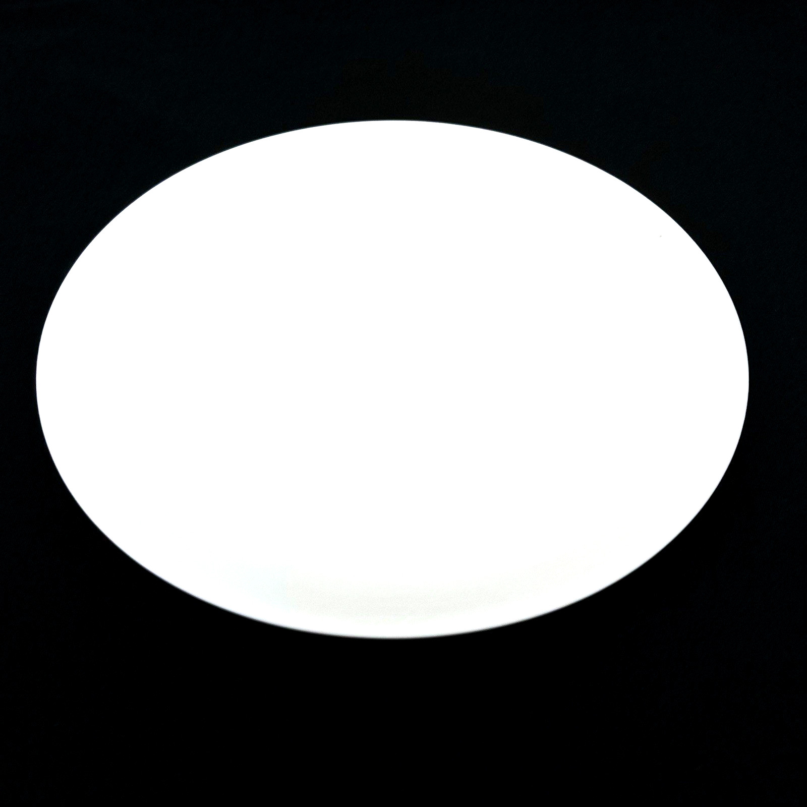Pier 1 White Porcelain Round Essential Traditional Everyday Dinner Plate 11 Inch gallery