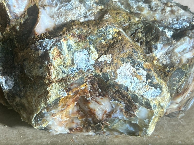 multicolored agatized petrified wood 2lb 9oz raw display decor gallery