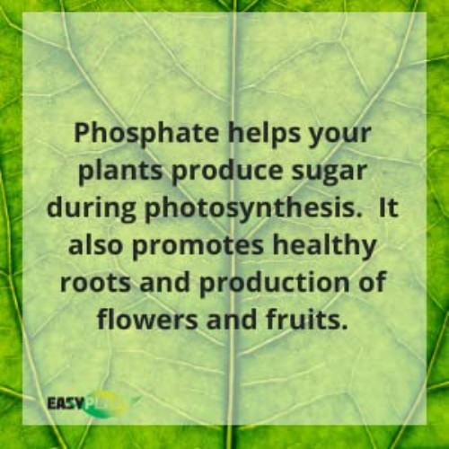 High-Performance Phosphorus Fertilizer 0-46-0 for Blossoming Plants - 5 lbs gallery