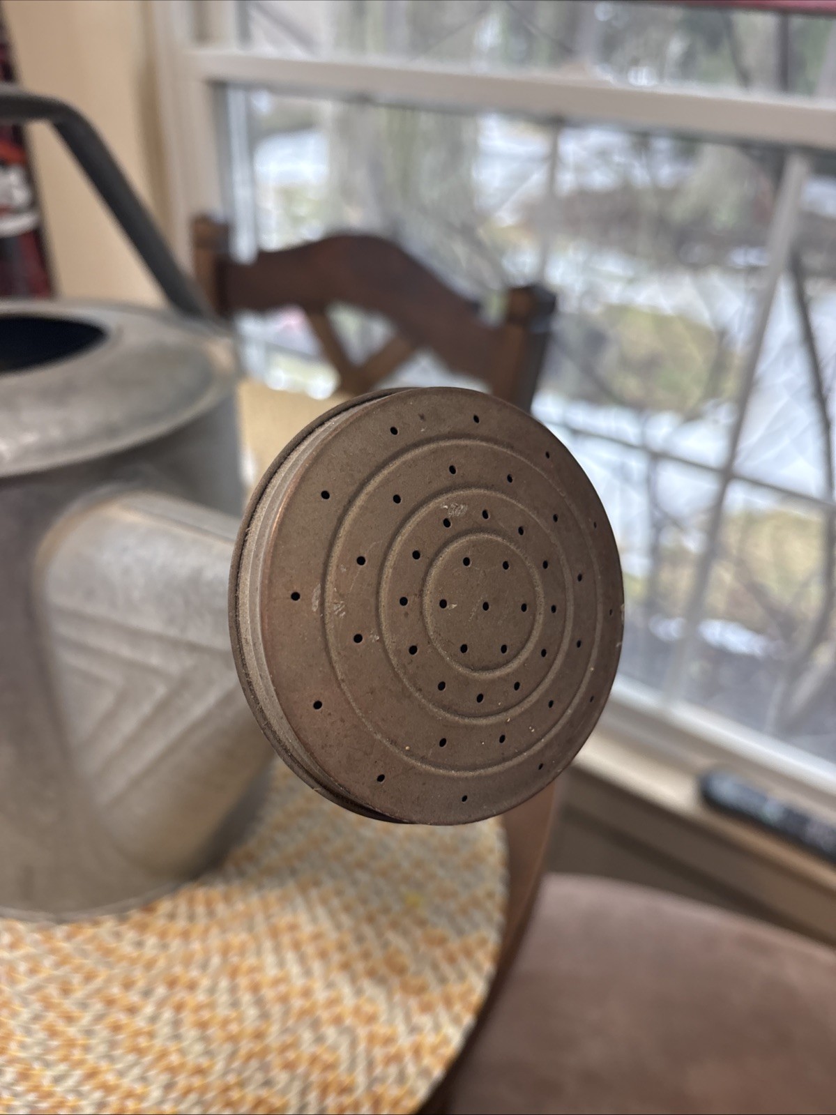 VintageGalvanized Metal Outdoor Standard Watering Can with Handle and Spout gallery