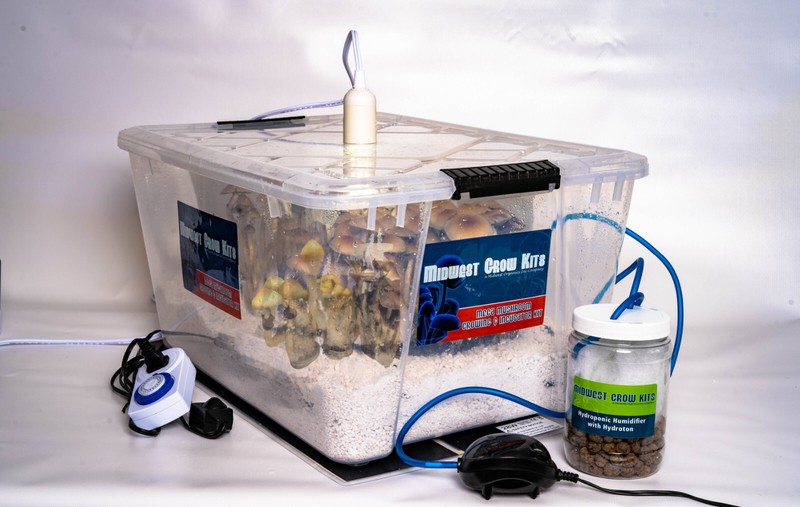 Mega Mushroom Growing & Incubator Kit | Fully Automated | 18 Sterilized Jars gallery