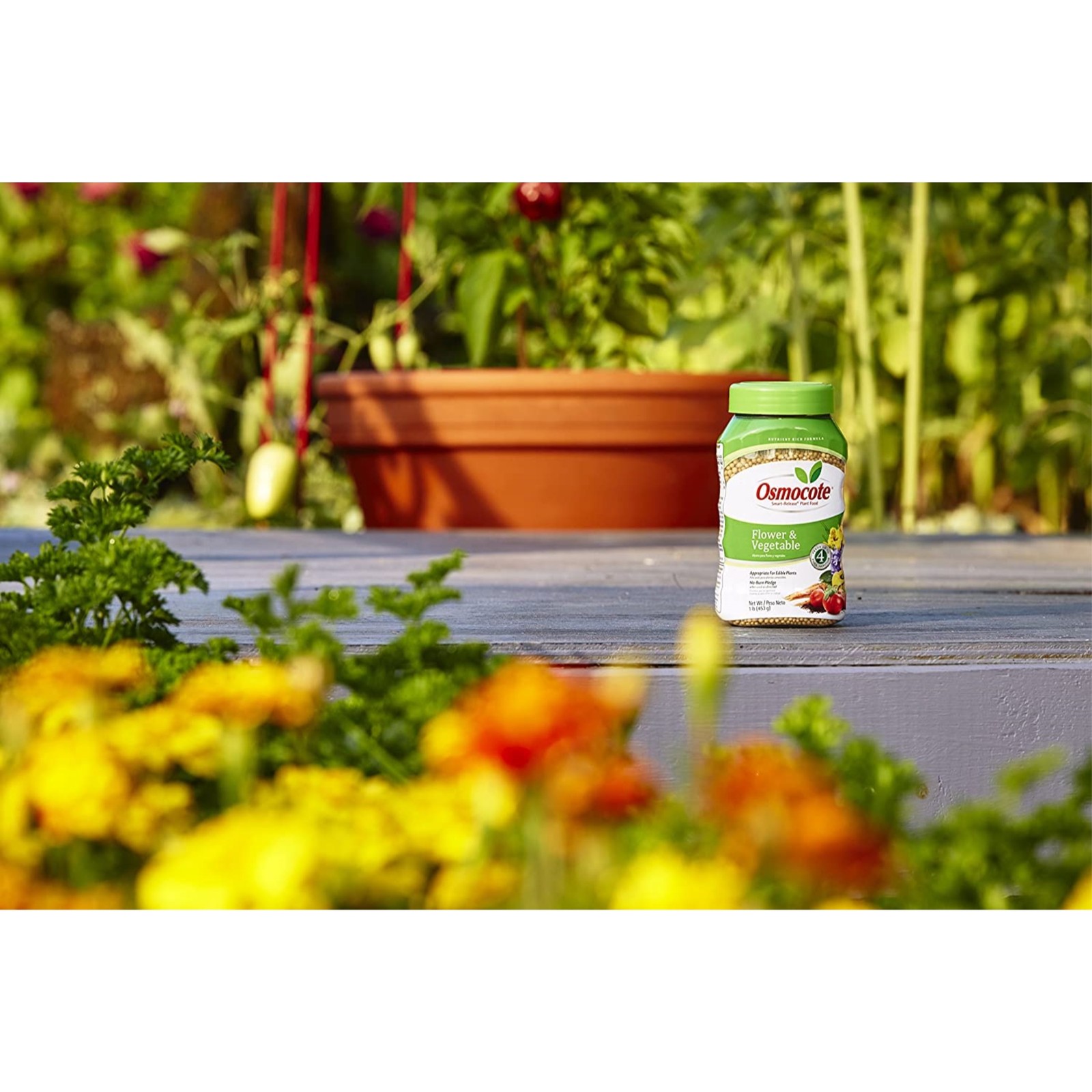 Osmocote Flower and Vegetable Smart-Release Plant Food - 1 Lbs gallery