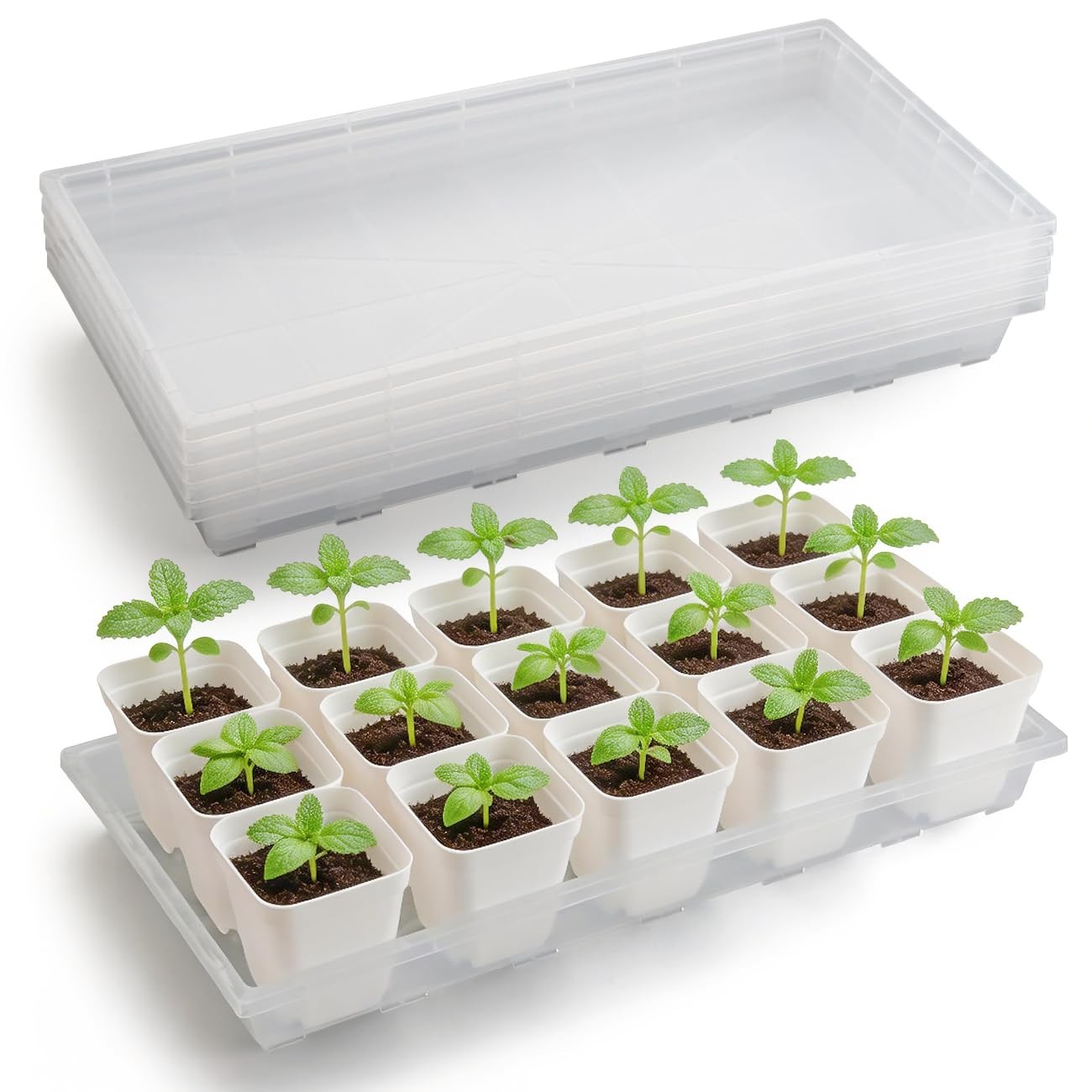 Transparent Seed Starter Trays 5-Pack - Durable Plant Pot Holders gallery