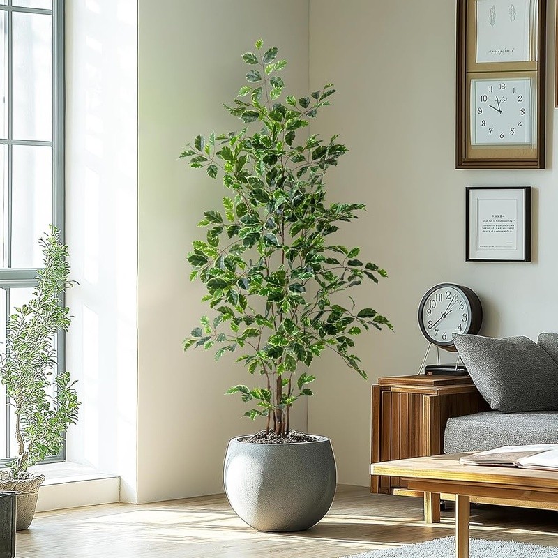 Artificial Ficus Tree Indoor Null Maintenance Lifelike Leaves Decorative Planter gallery
