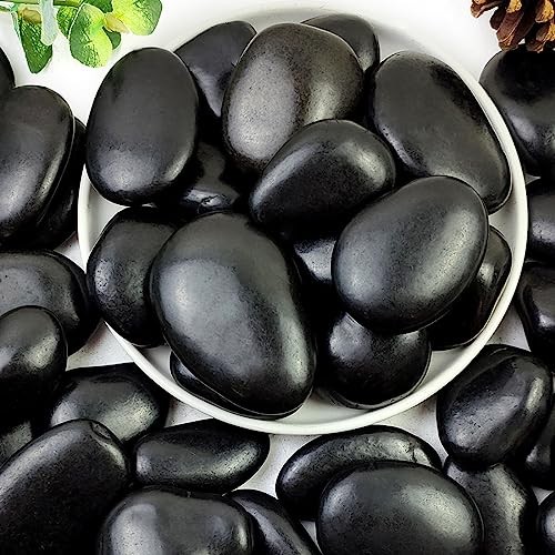 0lbs Pebbles for Plants, 2-3 Inch High Polished Natural Large 10 Pounds 1 Black gallery