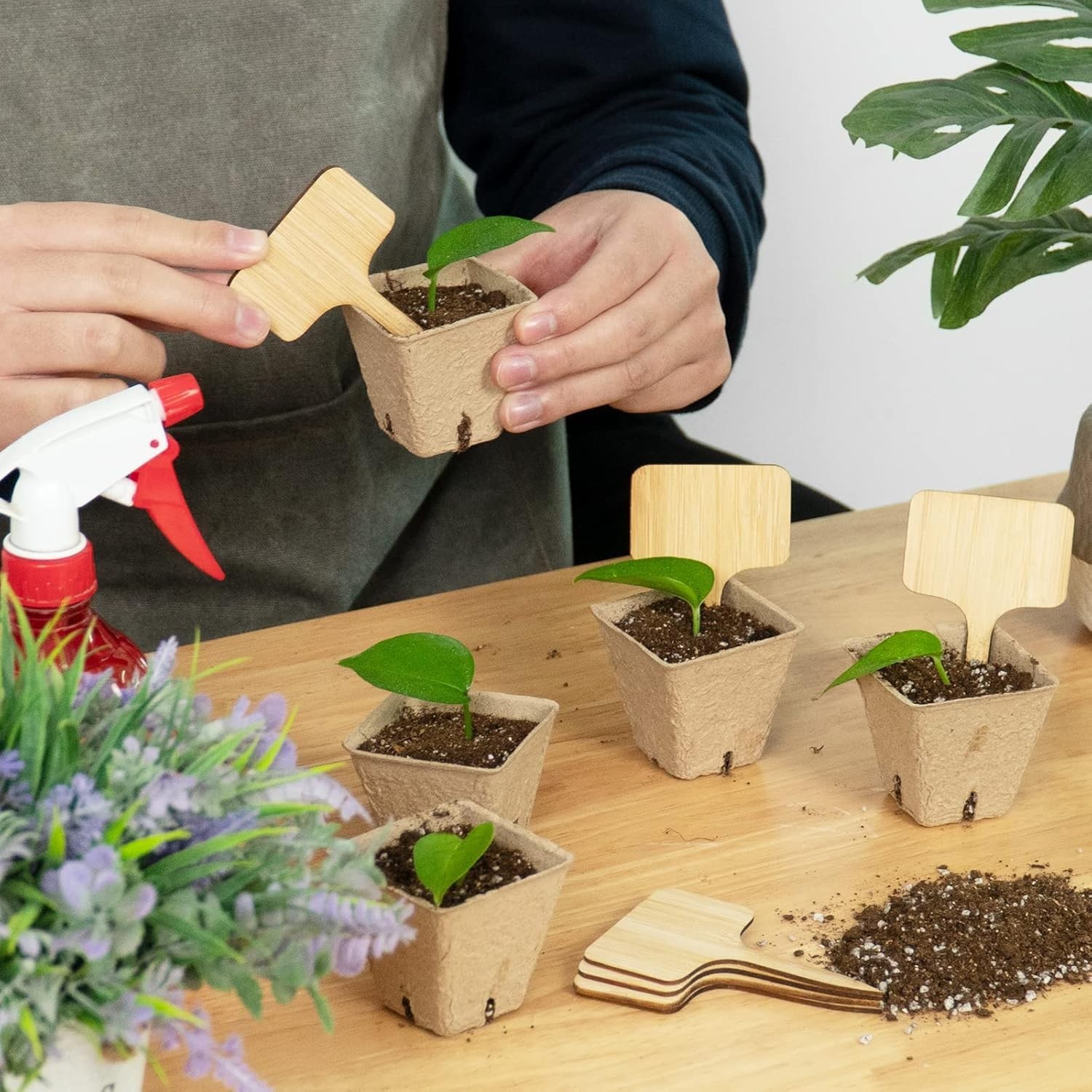 75 Pack Bamboo T-Type Plant Labels with A Marker Pen, Garden Markers Sign Plant gallery