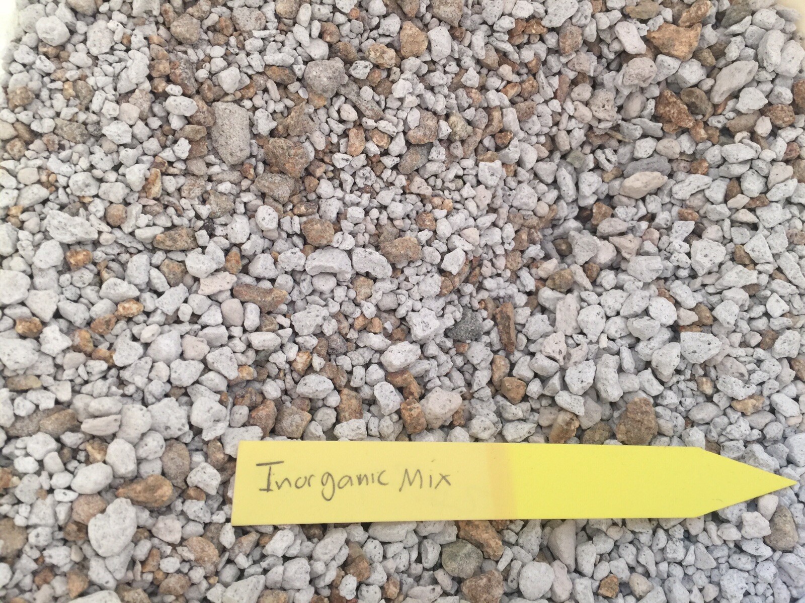 Ariocarpus and Astrophytum mature soil (Not for separate sale), fills 3" pot gallery