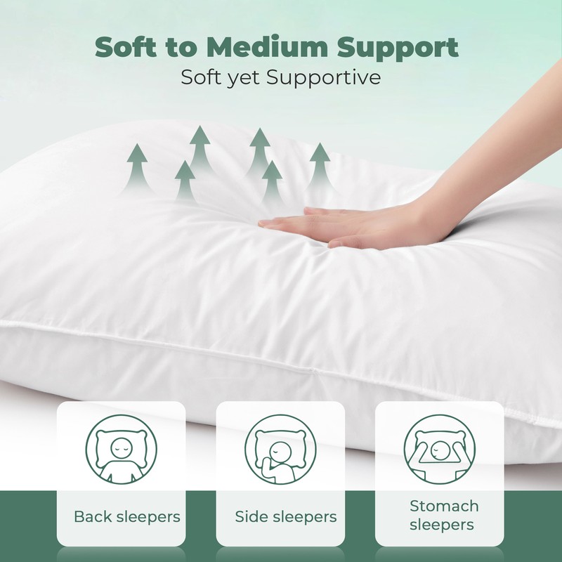 2 Pack White Goose Feather Bed Pillows Side and Back Sleepers Cotton Cover gallery
