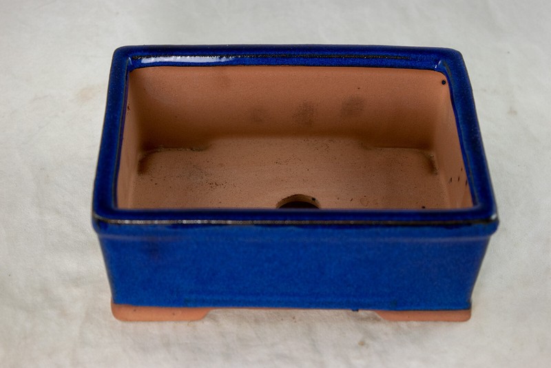 Rectangular Shohin Bonsai, Succulent Pot + Mesh 6.25"x 4.75"x 2.5" - Dark Blue gallery