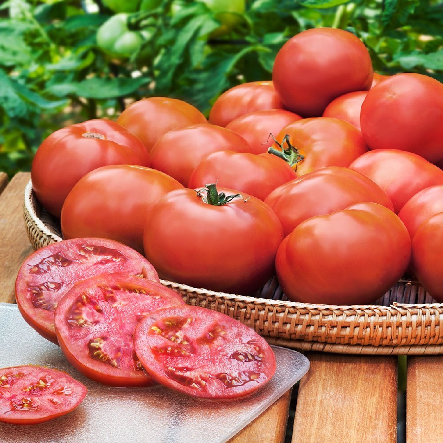 DELICIOUS RED Floradade tomato seeds non-gmo heirloom open pollinated EZ GRO! gallery