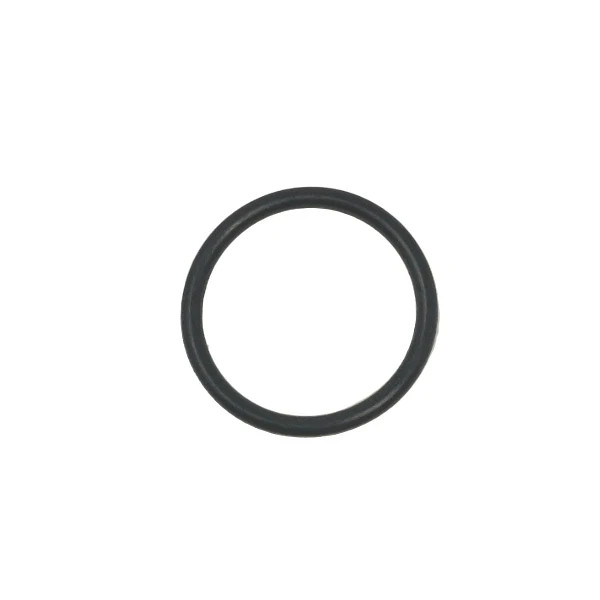 Hose O-Ring Gasket for Intex 26679EG Pool Sand Filter Pump & Saltwater System gallery
