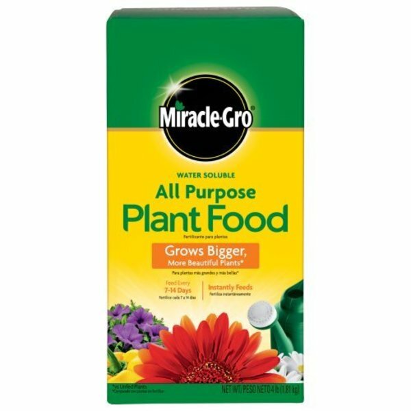 Miracle Gro 170101 All-Purpose Plant Food, 24-8-16 Formula, 4 Lb gallery