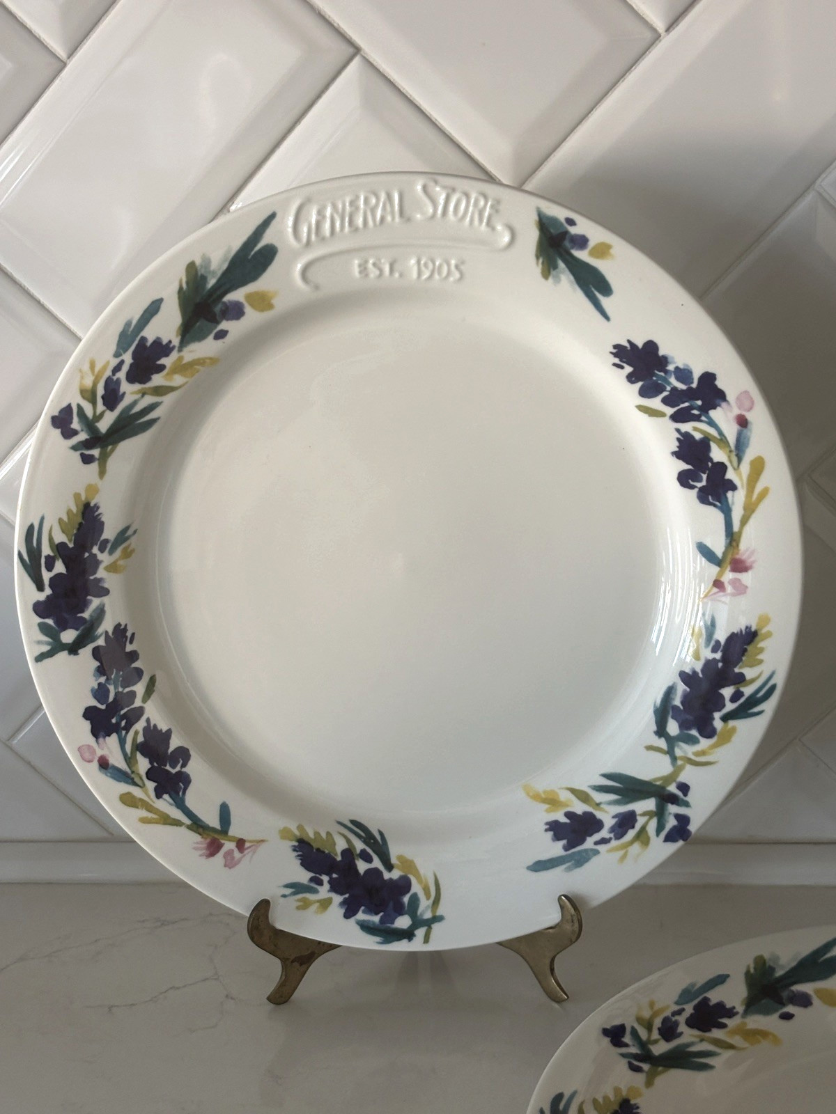 Set of x2~Haven & Key~Bluebonnet Dinner Plates~10 1/2"~General Store~2021~NEW gallery
