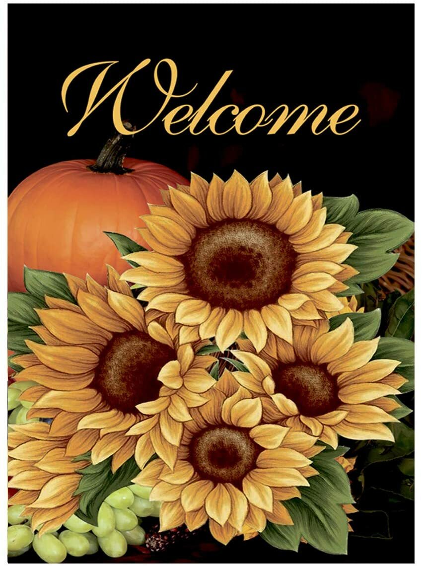 Morigins Fall Welcome Pumpkin House Flag, 28" x 40 Inches Double Sided gallery
