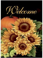 Morigins Fall Welcome Pumpkin House Flag, 28″ x 40 Inches Double Sided
