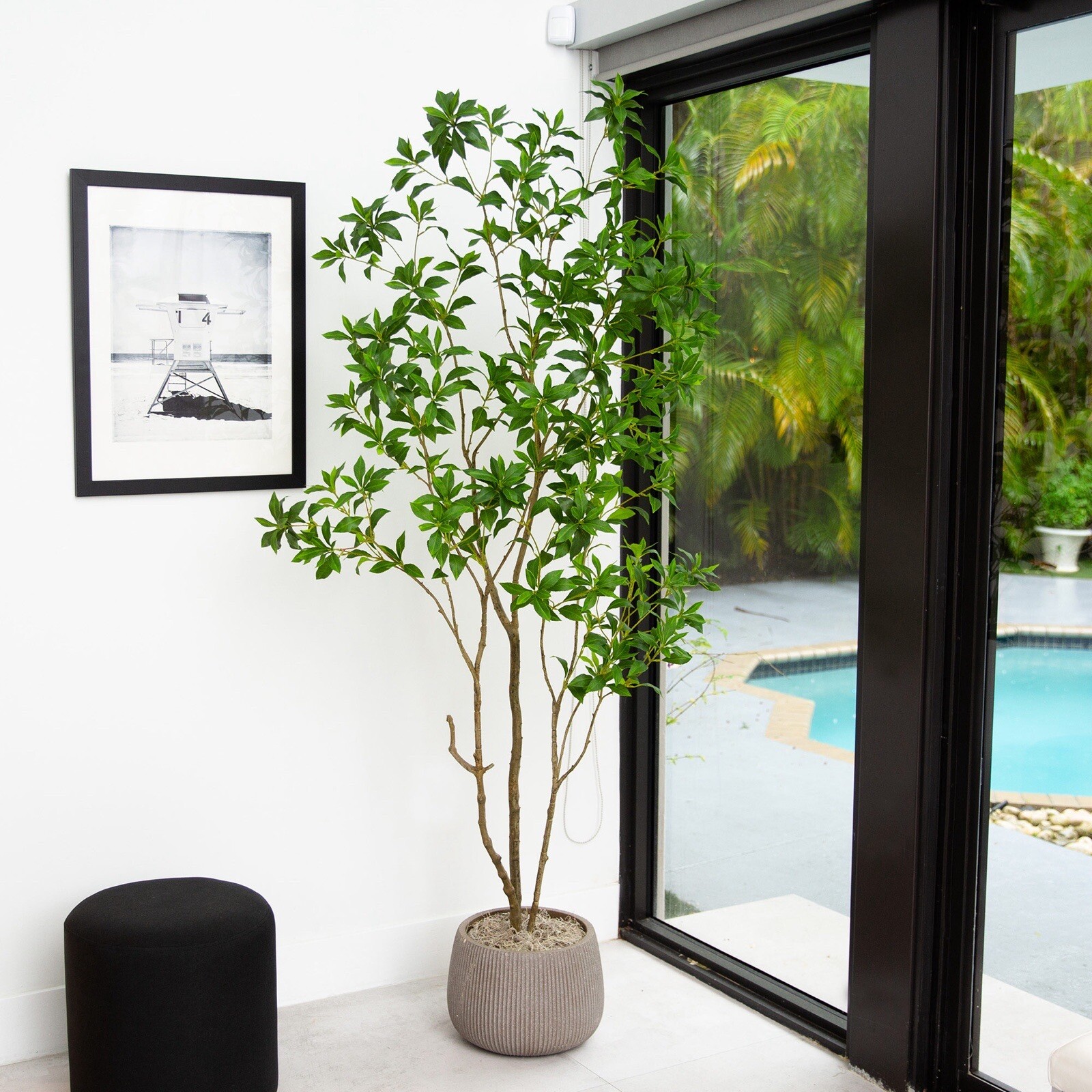 7’ Artificial Minimalist Japanese Pieris Tree w/Real Touch Leaves. Retail $309 gallery