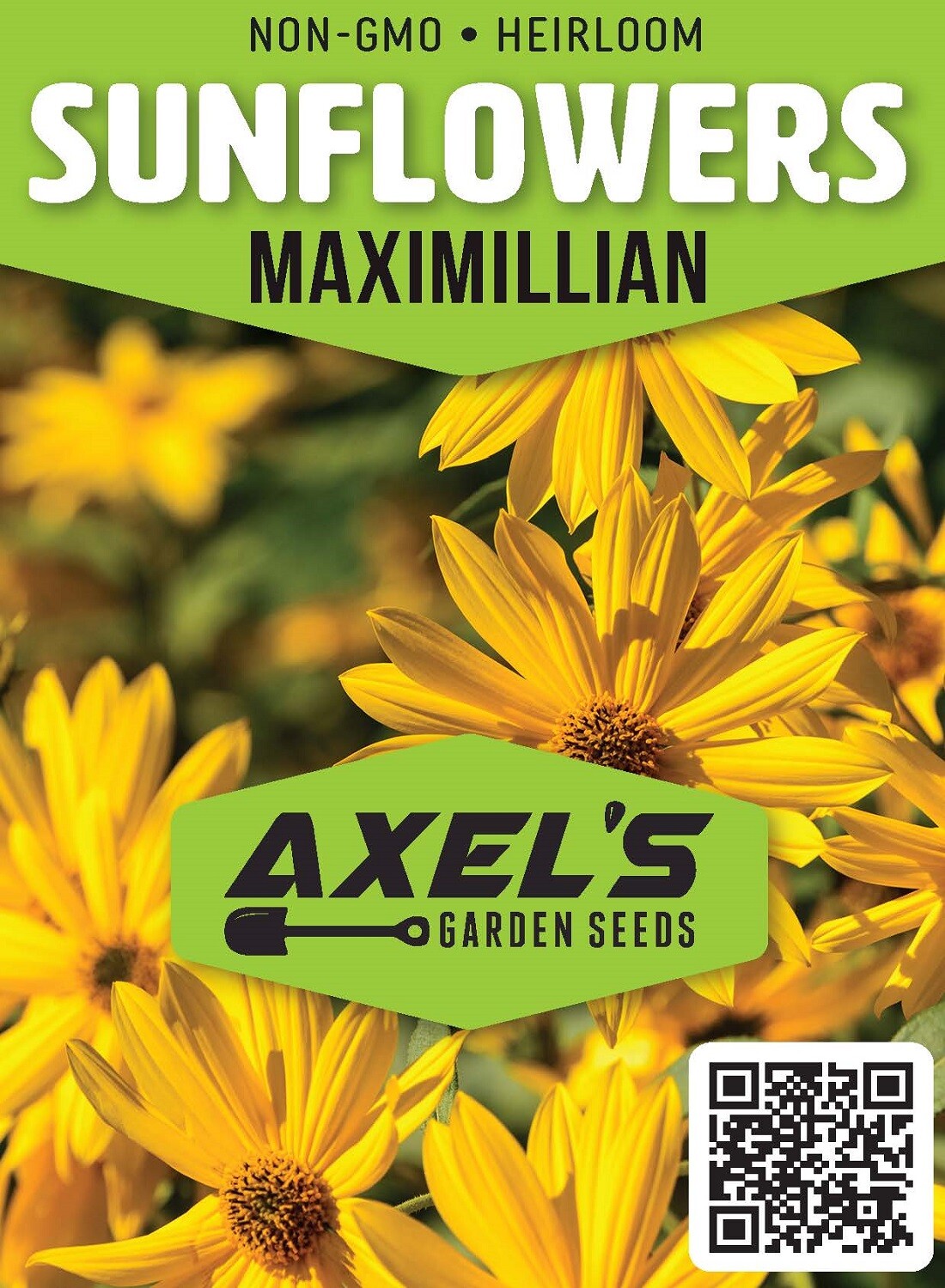 Maximilian Sunflower Seeds | Heirloom & Non-GMO | Fresh Perennial Flower Seeds gallery