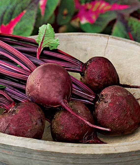 Beets Detroit Dark Red Seed - 1 Packet gallery