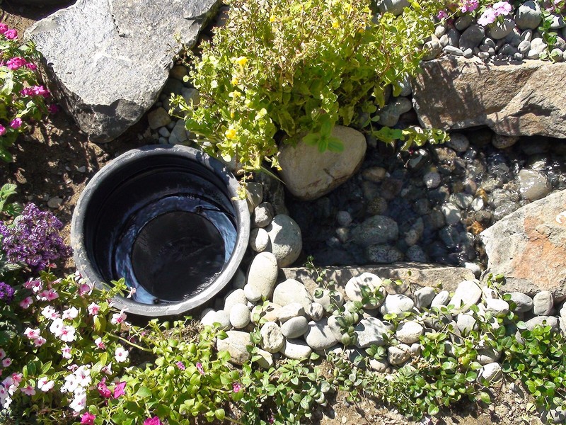 Pond Sieve - Bottom Drain Pre-filter gallery