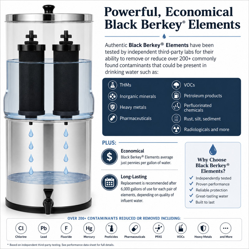 Black Berkey BB9-2 Water Filter Replacement Elements 2 | 4 | 8 Packs gallery