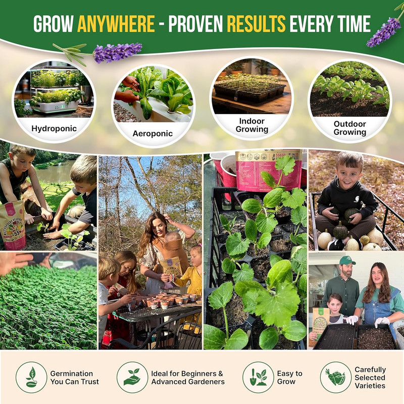 Culinary Herb Seeds Variety Pack 12 Types Non-GMO Heirloom Indoor Outdoor Garden gallery