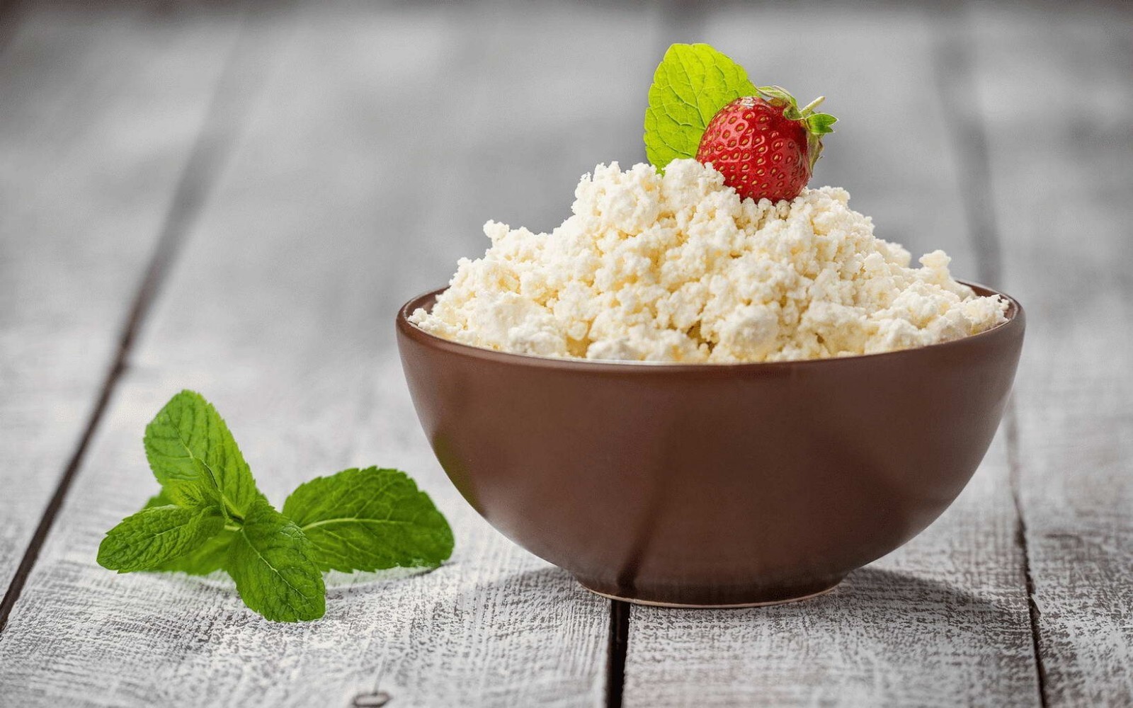 Cottage Cheese Starter Cultures. Milk Starter Cultures. Cheese making Kit. gallery