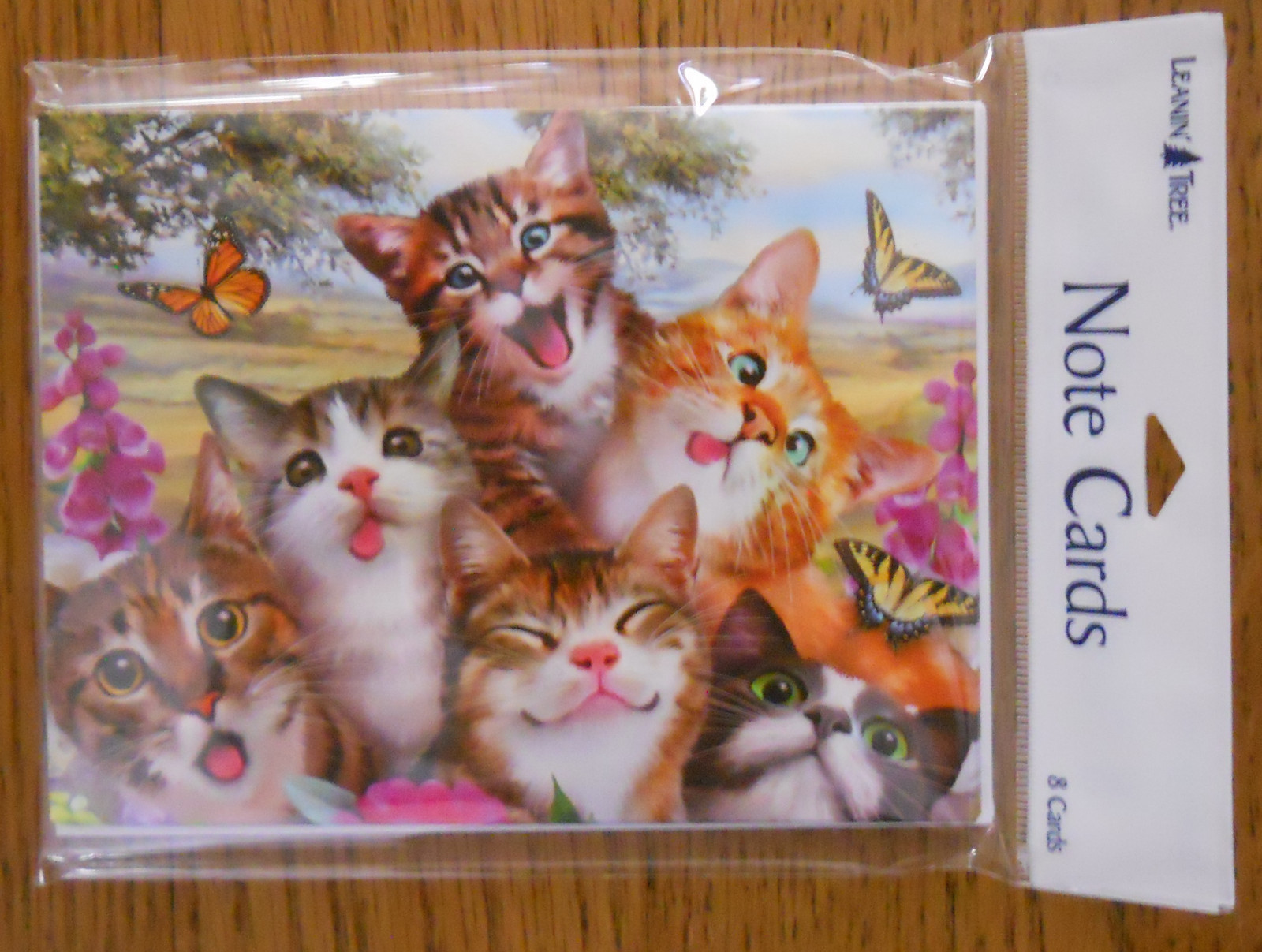 8 Leanin Tree Note Cards lots of CATS SMILING SELFIES, Cute, Sweet, Butterflies gallery
