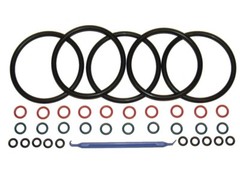 5 Sets COLOR CODED Gasket Set for Cornelius Home Brew Keg [w/ O-Ring Pick]