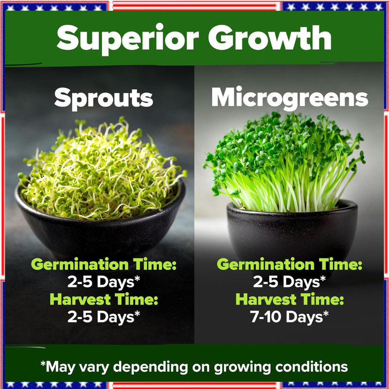 Broccoli Sprouting & Microgreens Seeds - 64,200 Non-GMO Heirloom gallery