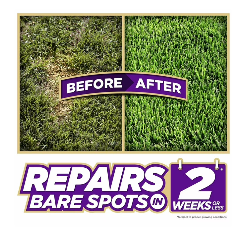 PENNINGTON GRASS SEED Dense Shade Patch & Repair Mix, Partial to Full Shade gallery