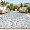 Boho Medallion Indoor Outdoor Area Rug 4X6 Navy/Gray, Estrella Textured Weave... gallery