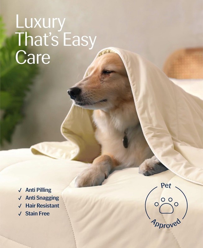 R Evercool Cooling Comforter, King/Cali King, Snow Ivory READ gallery