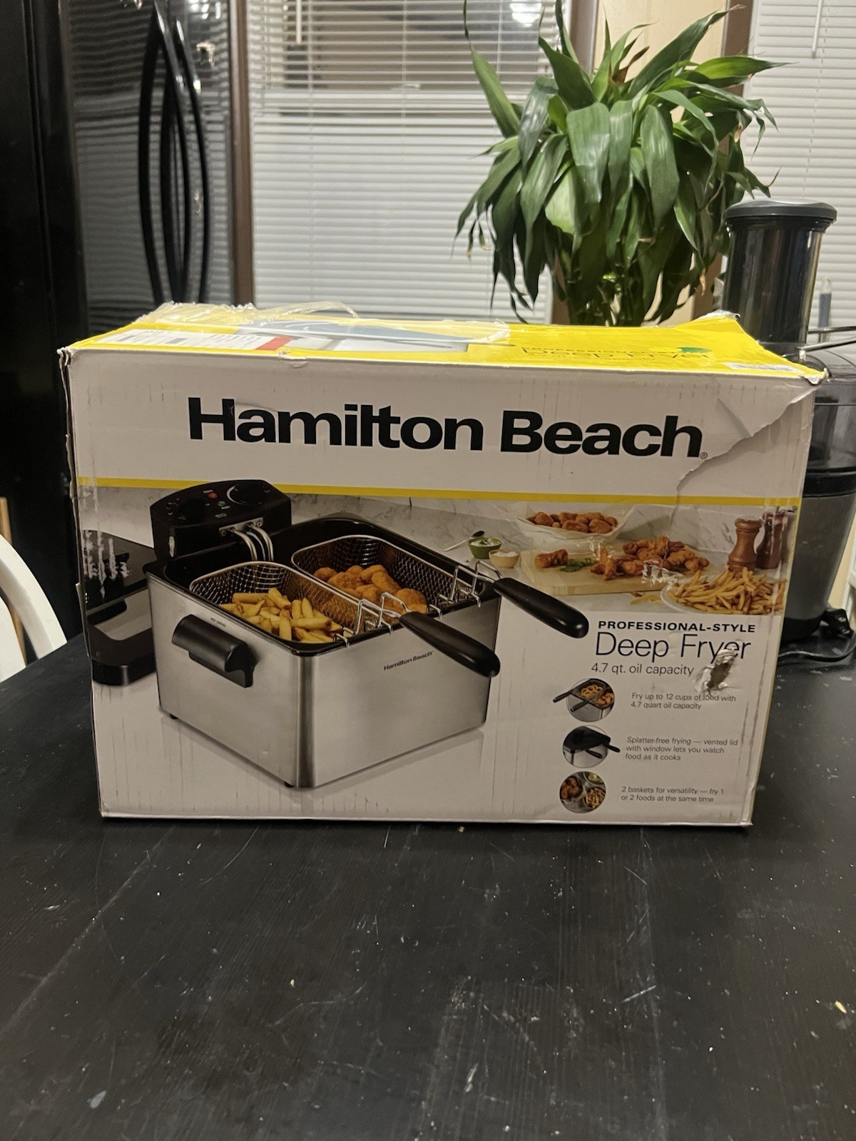 Hamilton Beach Electric Deep Fryer 2 Baskets Lid 4 5 Liters 19 Cups Oil ✅ gallery