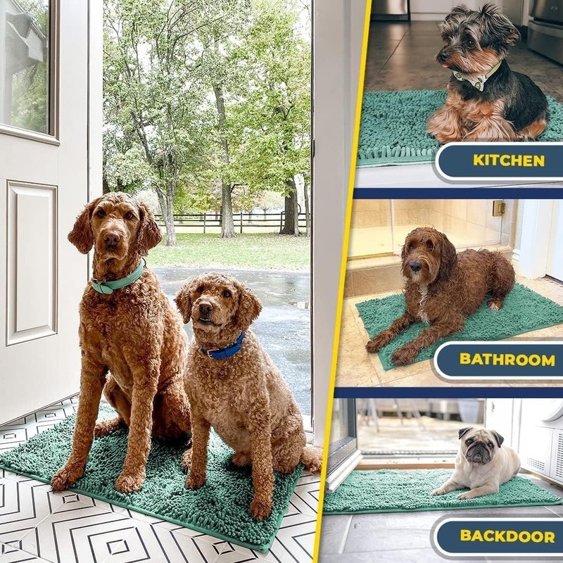 Super Absorbent Door Mat Non-Slip Microfiber Quick Dry Machine Washable Pet Rug gallery