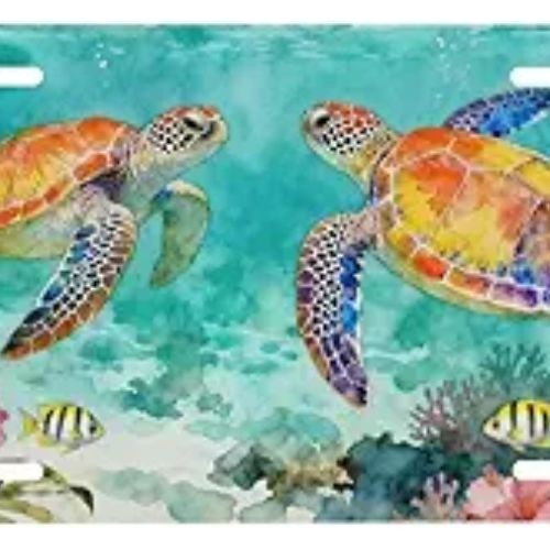 Front License Plate for Car Vanity Plates Decorative Aluminum Metal Cute Novelty gallery