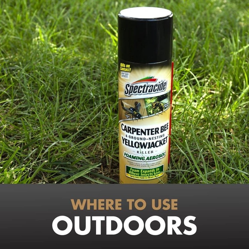 Carpenter Bee and Yellow Jacket Insect Killer 16oz Foaming Aerosol (2 Pack) gallery
