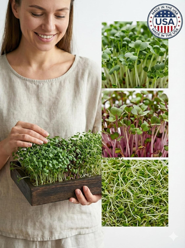 Todd's Seeds Sprouting Seed Mix; Broccoli, Radish, Alfalfa, Non-GMO 1/4 Pound gallery