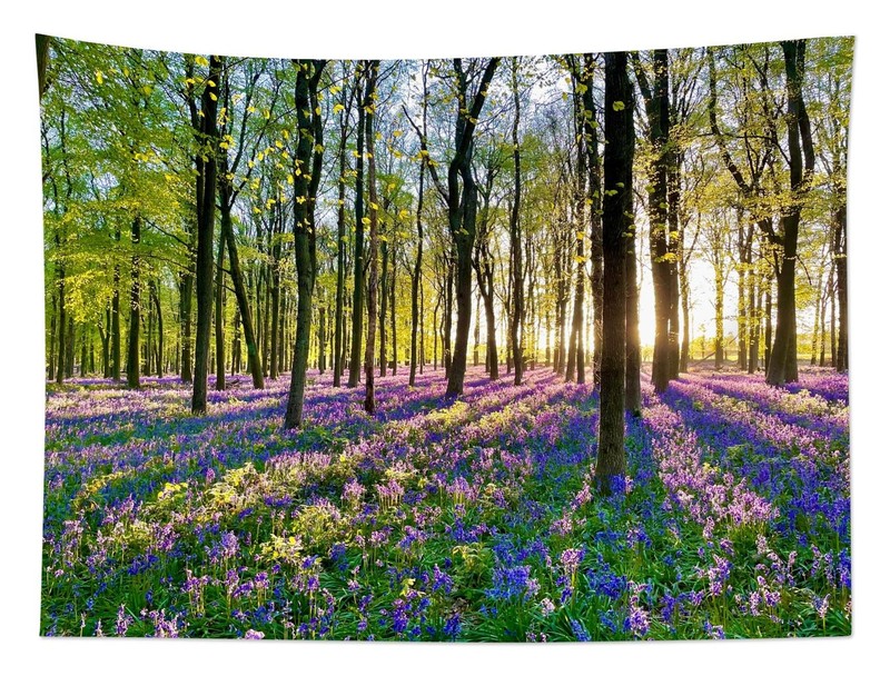 Forest Sunshine Tapestry Wall Hanging Spring Purple Green Art Decor 40x60 In gallery
