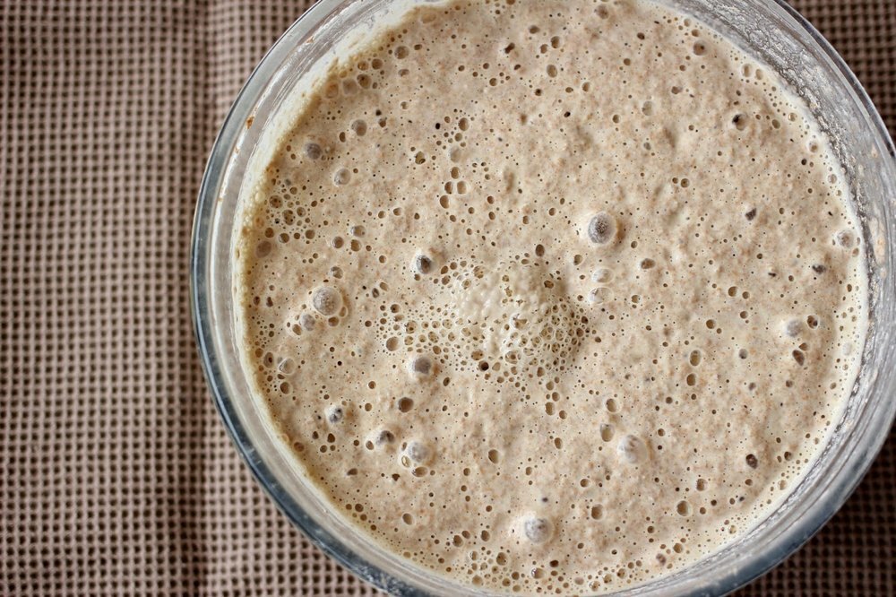 SAN FRANCISCO SOURDOUGH STARTER yeast Free Shipping family maintained 235yr Old gallery