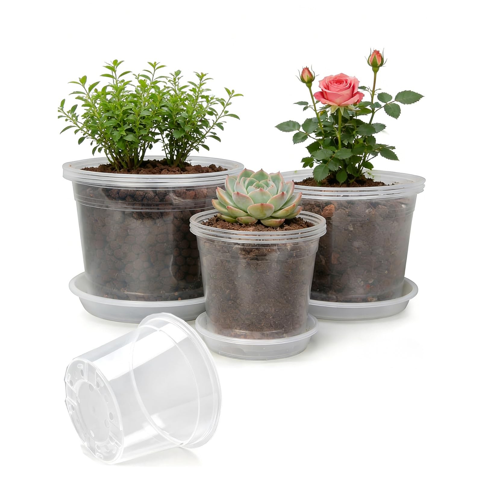 4 Sets 8 Inch Large Clear Nursery Pots with Drainage Holes, Thick Reusable Pl... gallery