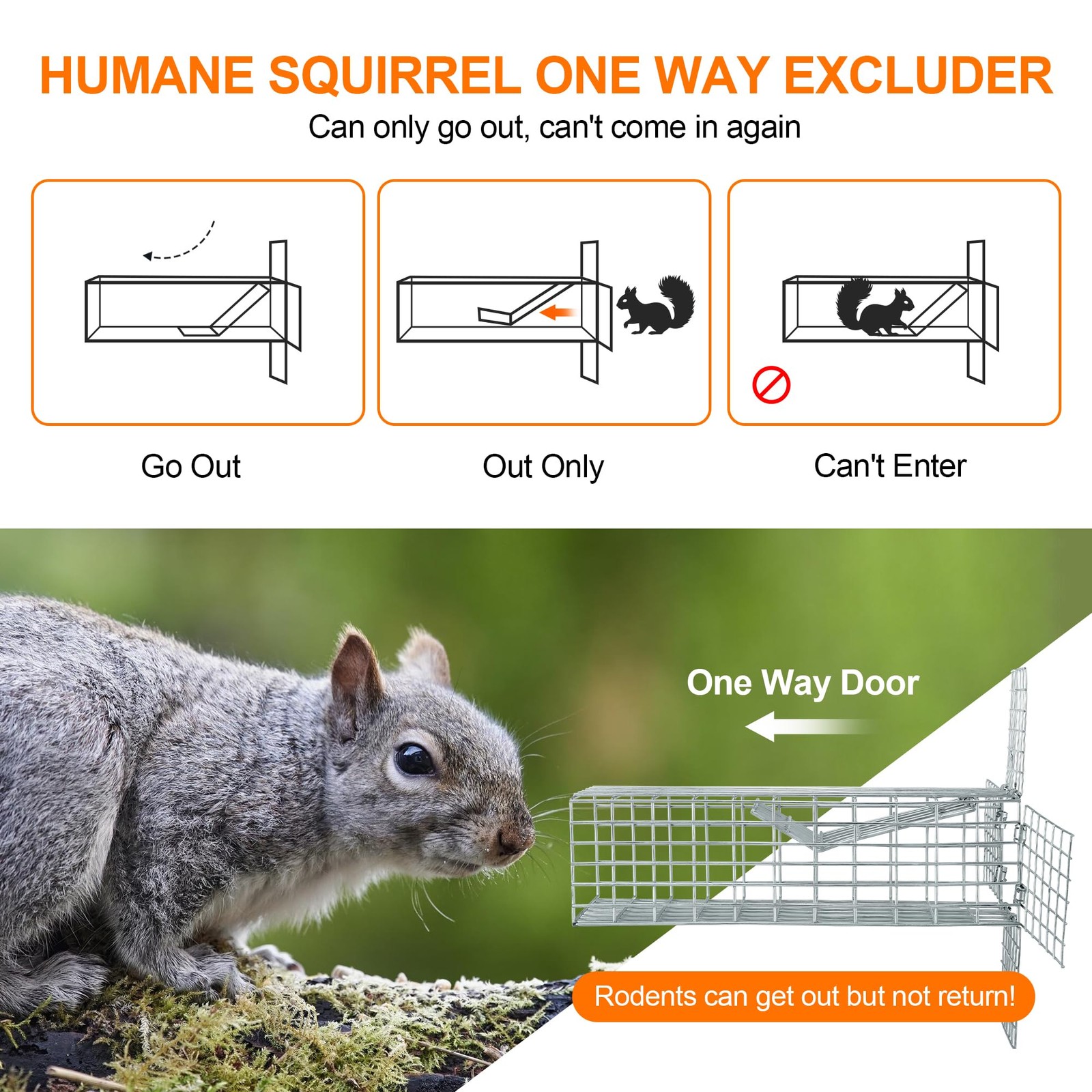 One Way Squirrel Door Excluder Humane Squirrels Chipmunks Contactless Outdoor gallery