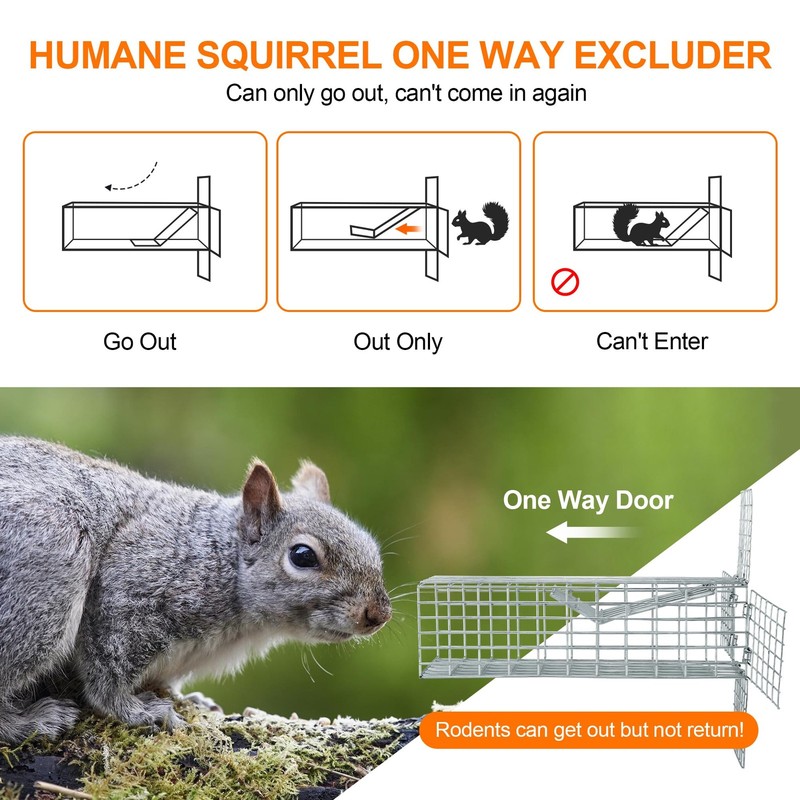 One Way Squirrel Door Excluder Humane Squirrels Chipmunks Contactless Outdoor gallery
