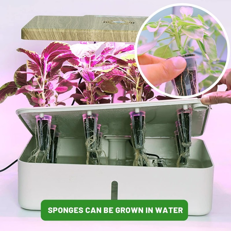 Grow Sponge Hydroponics Replacement Seed Starter Pods Plug Root Growth Kit gallery