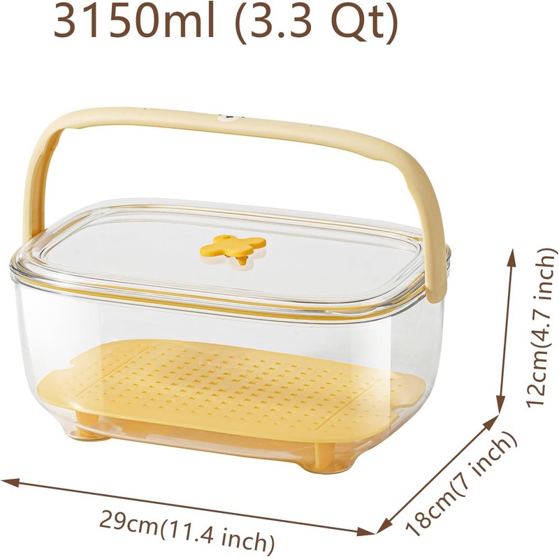 Fruit and Vegetable Storage Container with ice Pack, Fruit Vegetable Fresh Box gallery